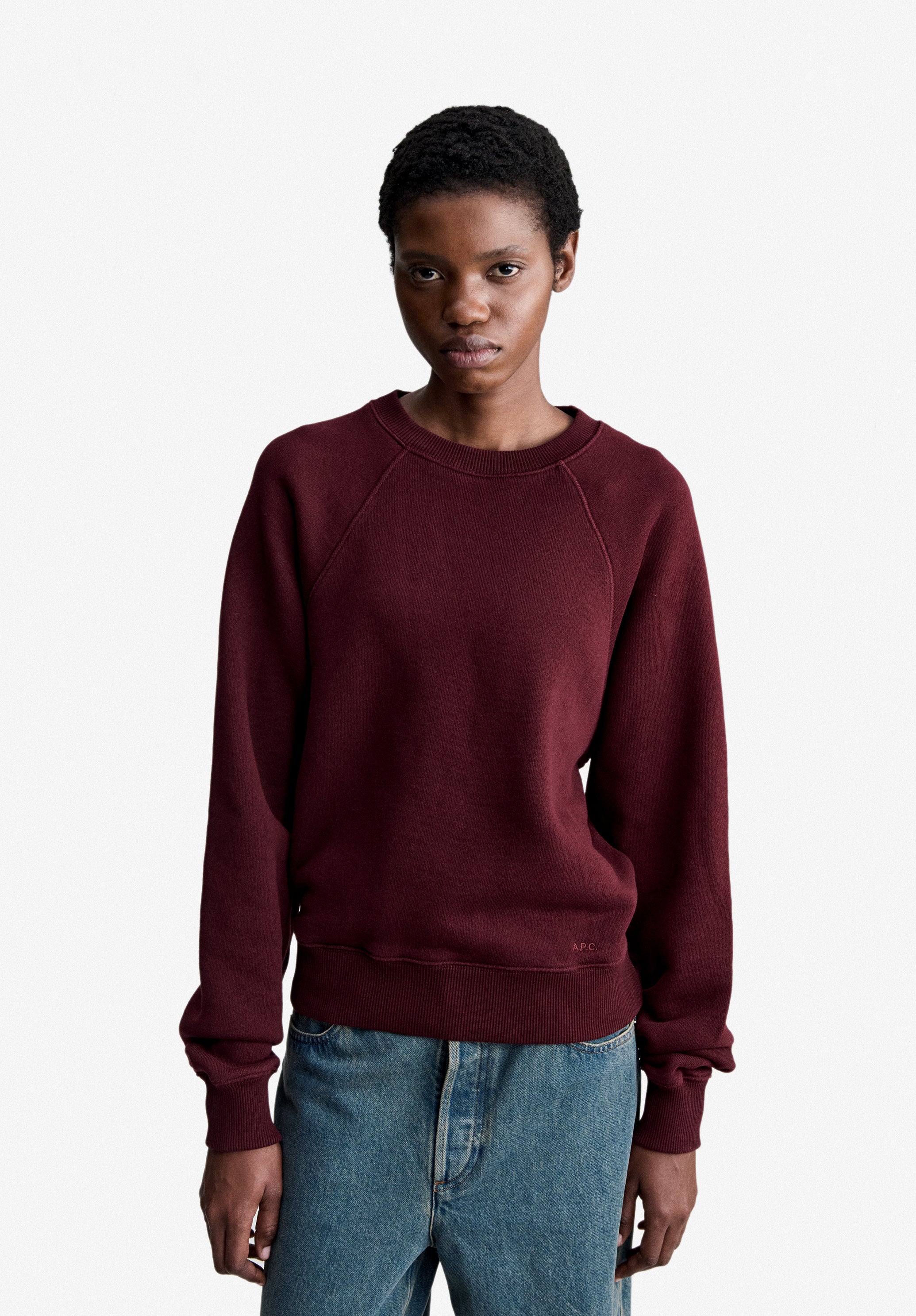 Hoodie and sweatshirts for men | A.P.C.